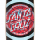 SANTA CRUZ DECODER ROSKOPP DROP DOWN CRUISER 9.5